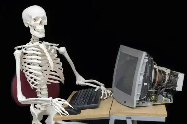 Skeleton At Keyboard
