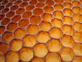 HoneyPots